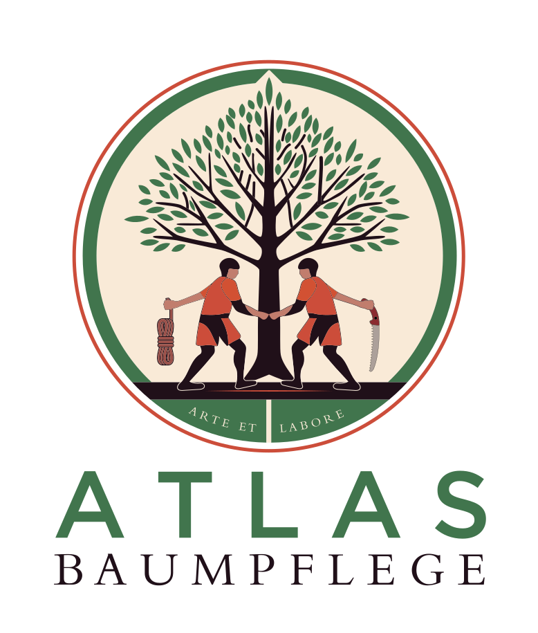 Atlas Baumpflege