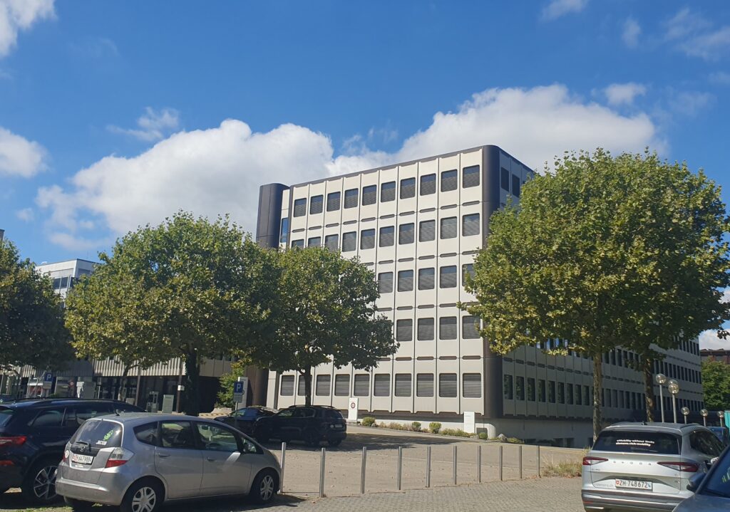 Formschnitt, Platane, Zürich.